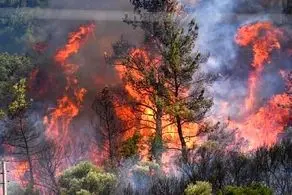 یک کشور جدید برای کمک به ایران اعلام آمادگی کرد