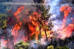 یک کشور جدید برای کمک به ایران اعلام آمادگی کرد