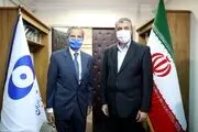 رافائل گروسی با محمد اسلامی دیدار کرد