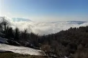 تارزان واقعی پس از 43 سال از دل جنگل پیدا شد/ عکس چهره باورنکردنی