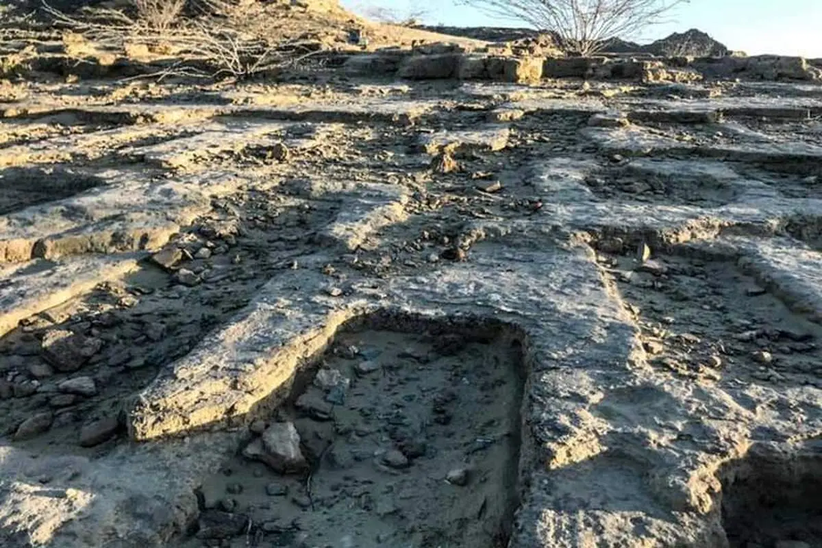 کشف غافلگیرکننده گور دستهجمعی ۱۰۰ پسر جوان!