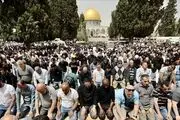 این آشپز مشهور ترک برای فلسطینی‌ها افطاری می‌پزد+فیلم