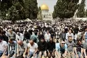 این آشپز مشهور ترک برای فلسطینی‌ها افطاری می‌پزد+فیلم