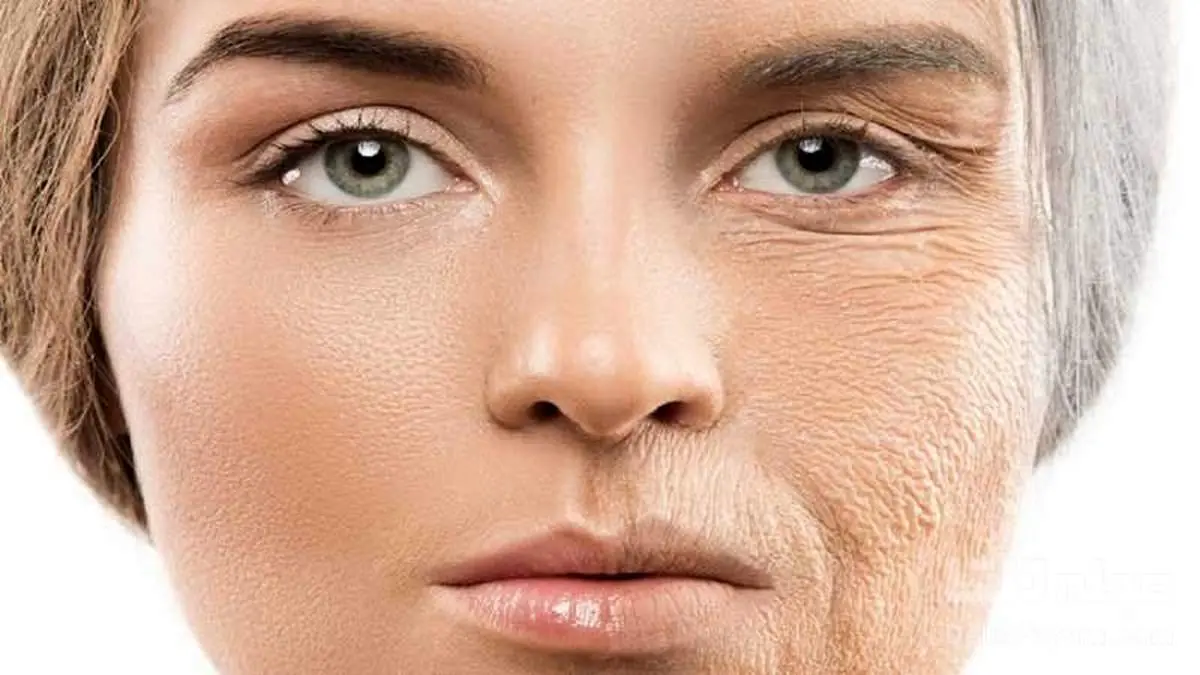 با این مواد غذایی اصلا پیر نمیشوید