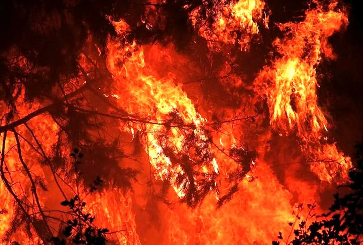 به آتش کشیدن شوهر با همدستی پسرخاله