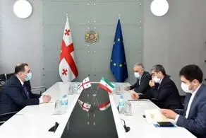 ایران و گرجستان بر همکاری‌های علمی و آموزشی تاکید کردند