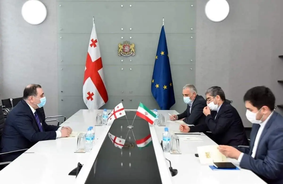 ایران و گرجستان بر همکاریهای علمی و آموزشی تاکید کردند