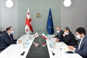 ایران و گرجستان بر همکاری‌های علمی و آموزشی تاکید کردند