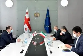 ایران و گرجستان بر همکاری‌های علمی و آموزشی تاکید کردند