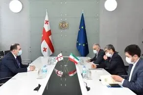 ایران و گرجستان بر همکاری‌های علمی و آموزشی تاکید کردند