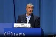 اسلامی: برجام نباید به هزینه تنها یک عضو اجرا شود