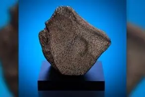 قرار گرفتن بزرگ‌ترین شهاب سنگ مریخی در معرض دید عموم