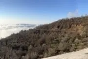 از دیدن این جنگل کاملا یخ زده حیرت زده می شوید+ عکس