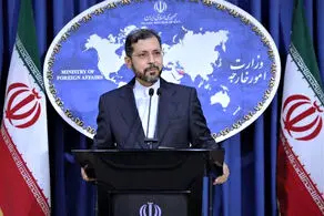 آژانس در چارچوب فنی و بی‌طرفانه اظهار نظر کند