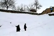 جان باختن شهروندان افغانستان در پی بارش برف/ ایران تسلیت گفت 