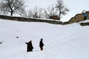 جان باختن شهروندان افغانستان در پی بارش برف/ ایران تسلیت گفت 
