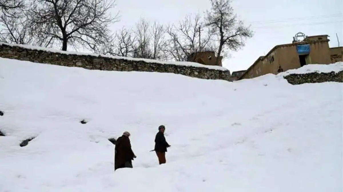 جان باختن شهروندان افغانستان در پی بارش برف/ ایران تسلیت گفت 