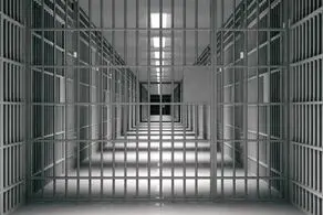 ۱۱۳ نفر از محکومان واجد شرایط قانونی آزاد شدند