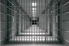  ۱۱۳ نفر از محکومان واجد شرایط قانونی آزاد شدند