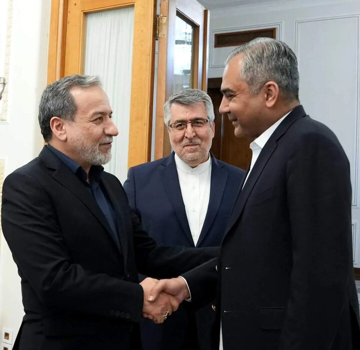 دیدار مجدد وزیر کشور پاکستان با عراقچی