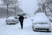 بارش برف سنگین در اردبیل مردم را ذوق زده کرد/ ببینید