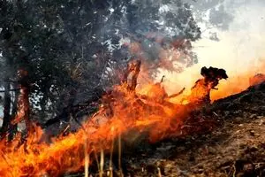 کهگیلویه و بویراحمد در آتش سوخت!