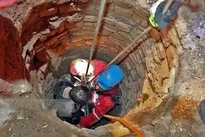 نوجوان ۱۳ ساله بخاطر یک کبوتر تا دم مرگ رفت