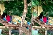 جولان ترسناک مارکبری دور بدن یک زن! +فیلم