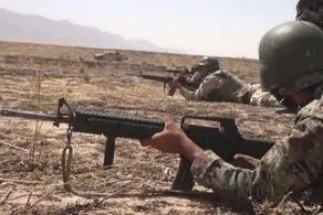 ۱۱۰ عضو گروه طالبان کشته شدند