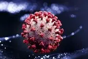 اومیکرون چند روز در بدن می‌ماند؟!