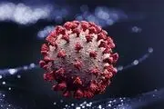 کدام گروه سنی بیشتر در خطر ابتلا به نوع دلتا کرونا هستند؟