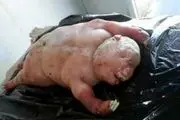 تولد موجودی ترسناک ؛ نیم انسان نیم حیوان!+عکس
