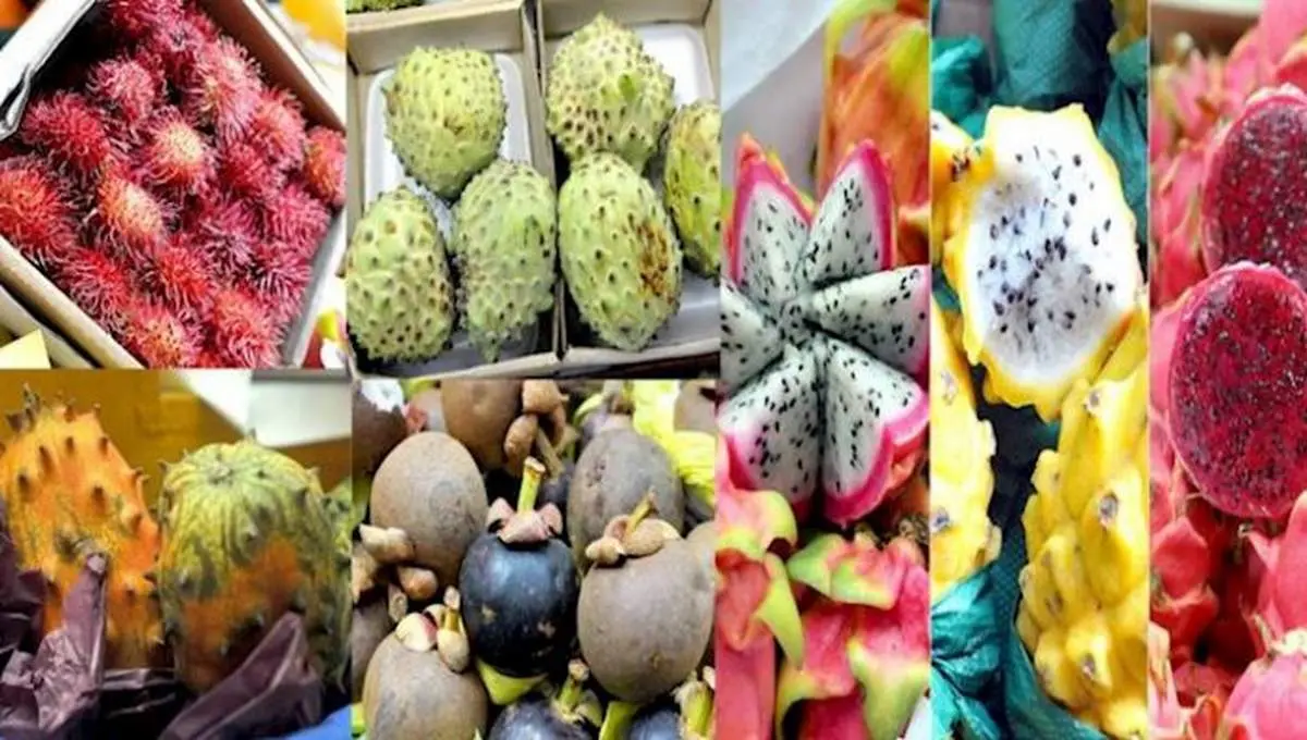 میوه ها لاکچریی که فقط پولدارها می توانند بخورند+ لیست قیمت های نجومی