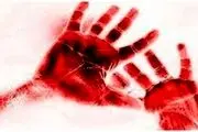 افشای رازی ترسناک، همدستی عجیب نویسنده مشهور در یک قتل