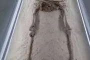 وحشت همه از دوباره زنده شدن این جسد!+ عکس