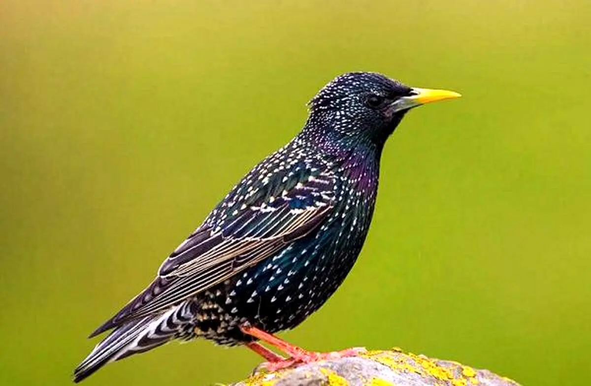 سرگرمی پرهزینه