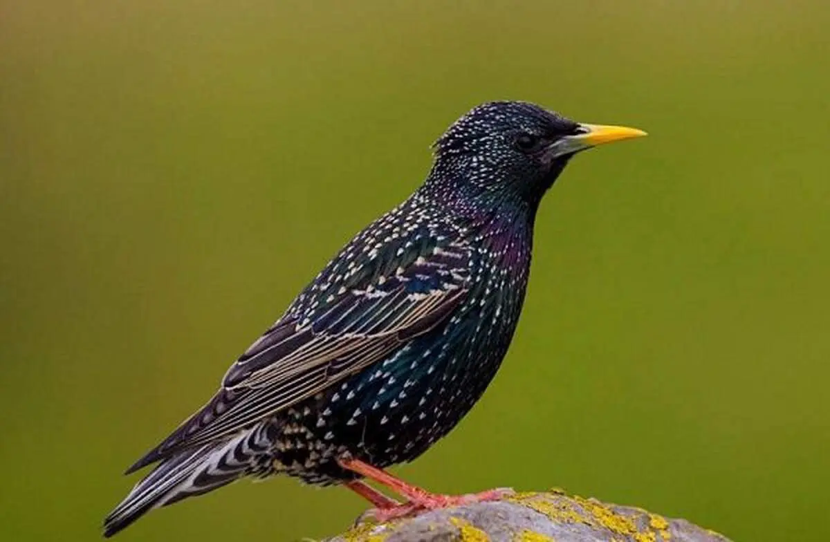 سرگرمی پرهزینه