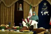 تصاویر آخرین نشست خبری سخنگوی دولت در سال ۱۴۰۳ 