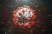 فوت 3 عضو یک خانواده بر اثر ابتلا به دلتا