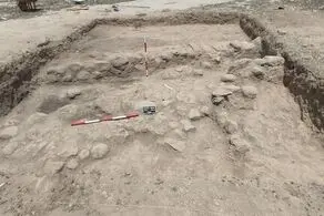 کشف یک قبر دسته جمعی پر از طلا+ عکس