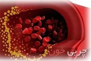 حقایقی درباره چربی خون که از آن بی‌اطلاعید!