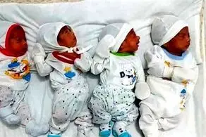 ۴ قلوزایی مادر کرجی پس از ۱۳ سال نازائی
