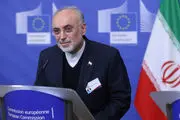 صالحی: آنها که گفتند برنامه هسته‏‌ای تعطیل شده چه پاسخی دارند؟