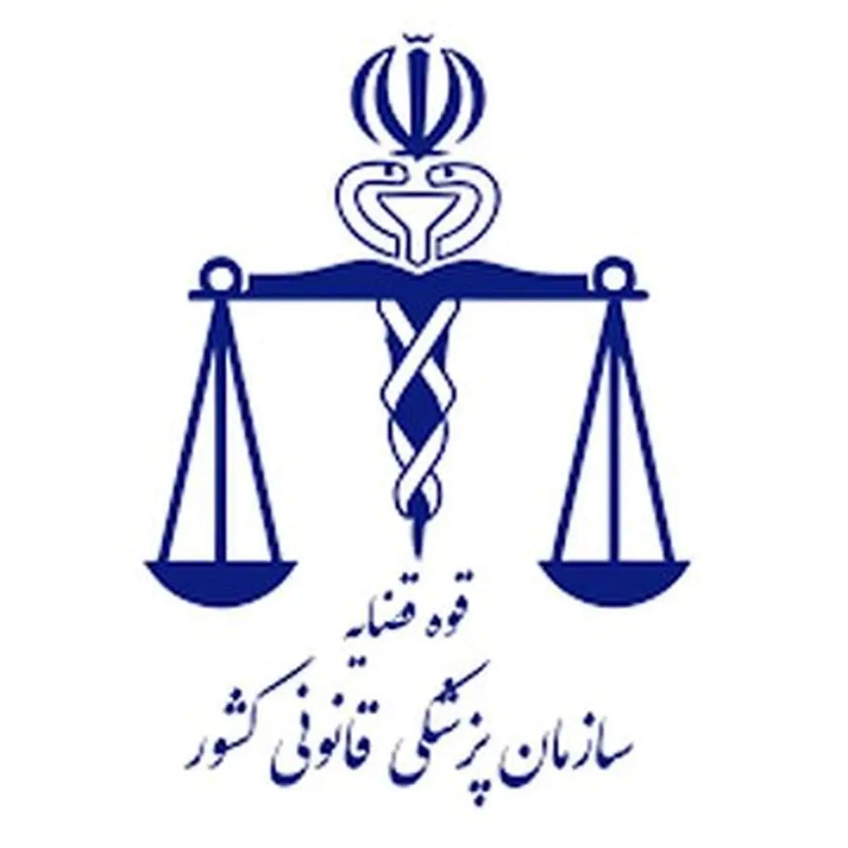 اطلاعیه مهم  پزشکی قانونی درباره پرونده قتل الهه حسین‌نژاد