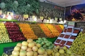 میوه ارزان می‌شود | افزایش کرایه علت اصلی نوسان قیمت گوجه‌فرنگی