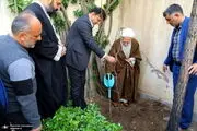 تصاویری از درختکاری یک مرجع تقلید + ببینید 