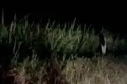 فرار هولناک بچه روح یک پا در شب! + عکس