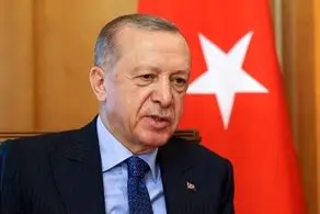اردوغان اکثریت آرا را از دست داد 