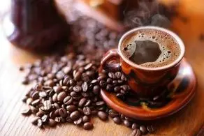 می دانستید گران ترین قهوه دنیا از مدفوع این حیوان است/ عکس