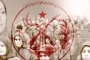 جعبه سیاه منافقین به تهران رسید! 